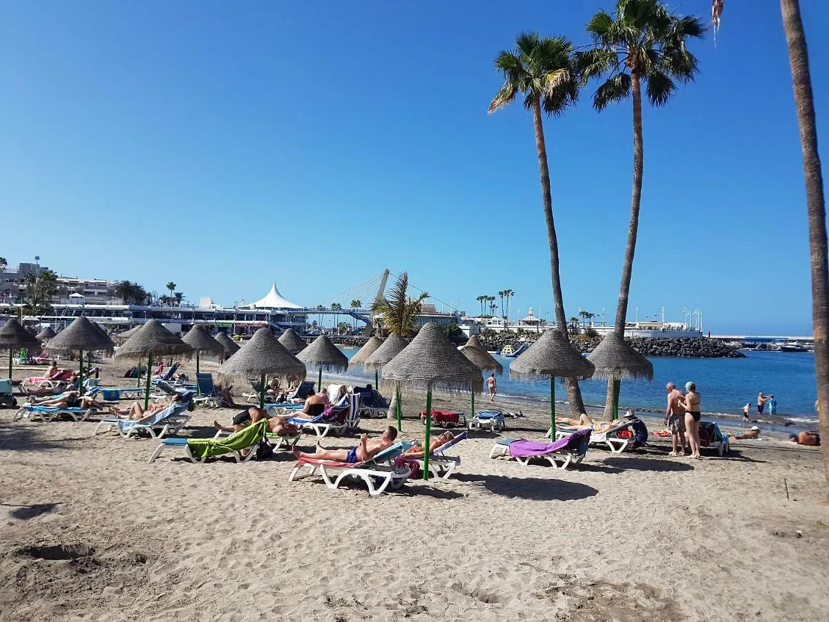 Apartment Borinquen With Heated Pool, Only 280 Meters To The Beach, Wifi Playa de las Americas  Playa de las Americas (Tenerife)