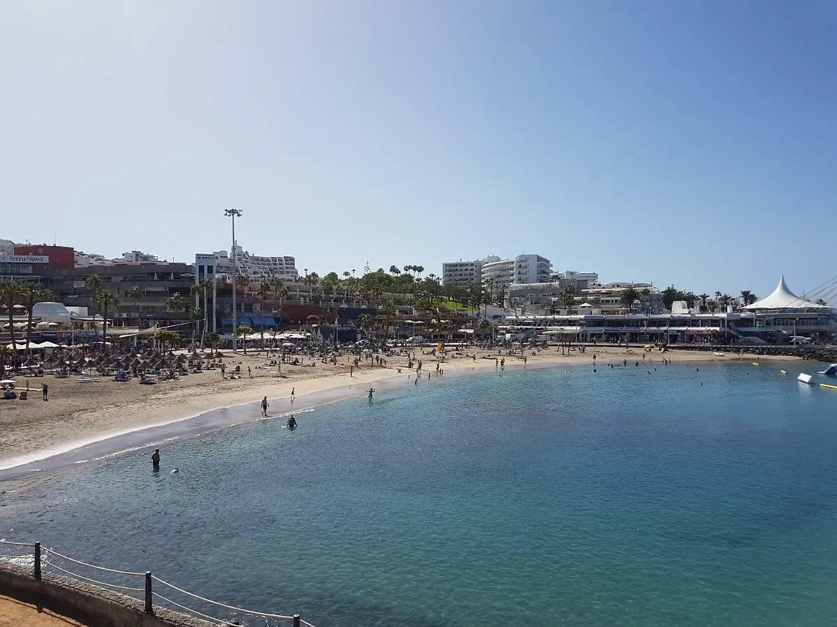 Apartment Borinquen With Heated Pool, Only 280 Meters To The Beach, Wifi Playa de las Americas   Playa de las Americas (Tenerife)